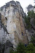 Herzog (Vevoda)
